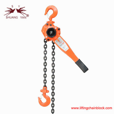 سلاسل الدرج سلاسل الدرج الرافعة اليدوية 2000kg 2Ton G80 سلاسل الفولاذ سبائك فوق 4 مرات قوة الكسر النوع الجديد