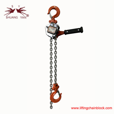 رافعة سلسلة يدوية بسرعة الرفع مع لون سلسلة مصقول وحدات بيع فردية